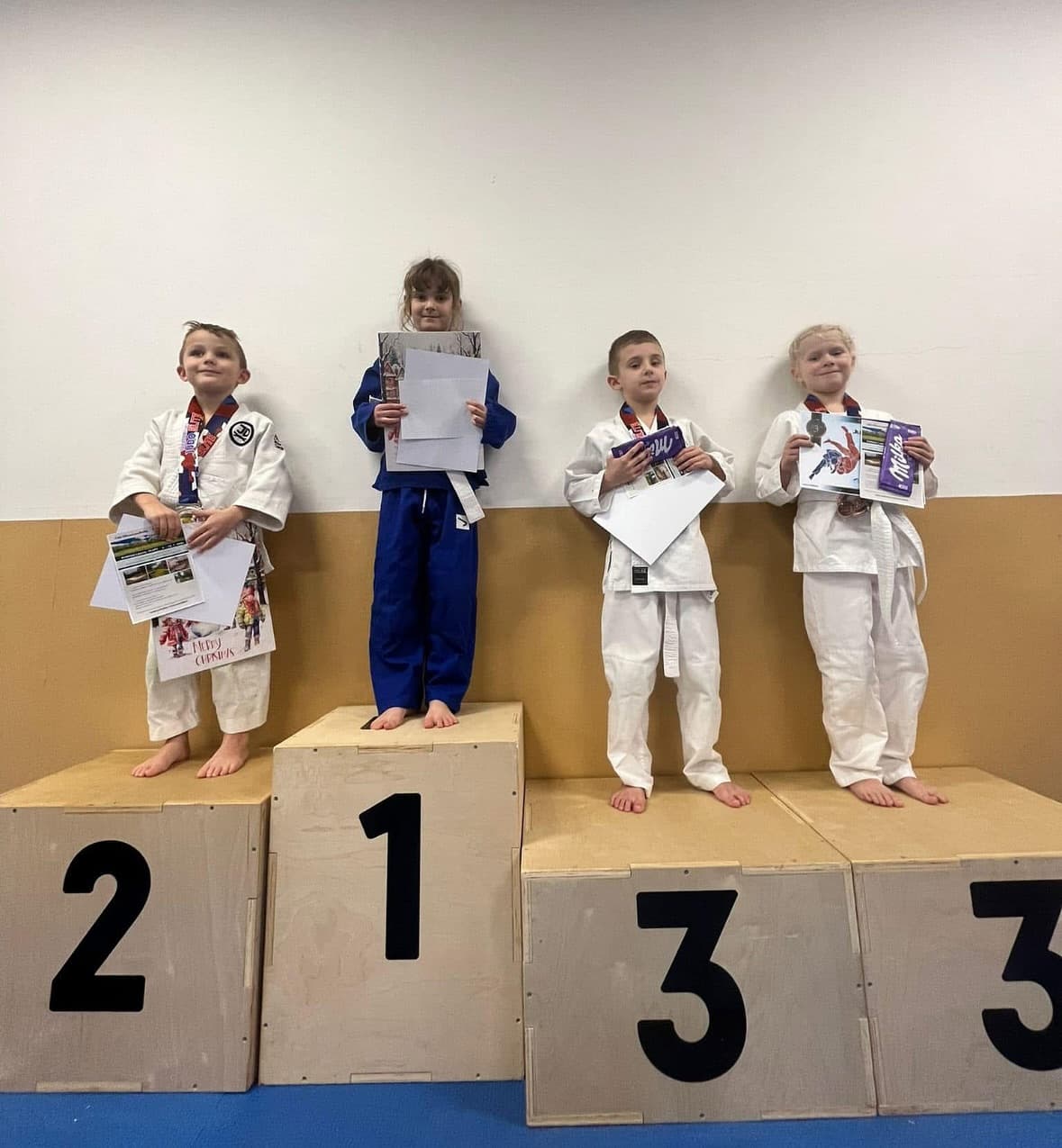 Judo Elite CUP